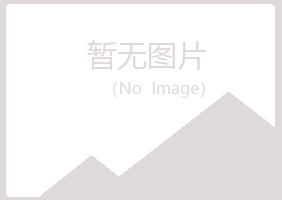 福安晓夏咨询有限公司